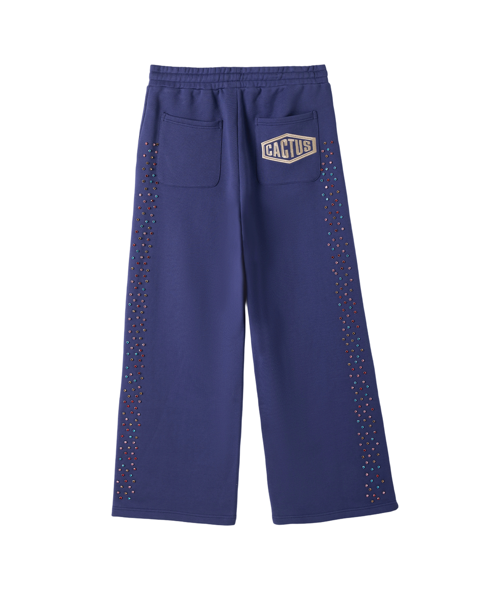 CACTUS VALLEY CRYSTAL CACTUS SWEATPANTS by AZVA