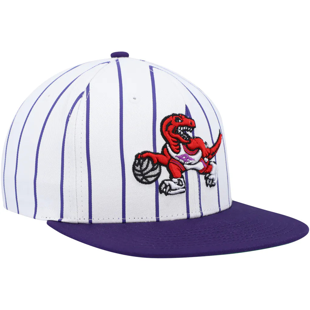 MITCHELL AND NESS PINSTRIPE RAPTORS by Mitchell and Ness