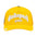 GODSPEED FOREVER TRUCKER GRADIENT HAT by Godspeed