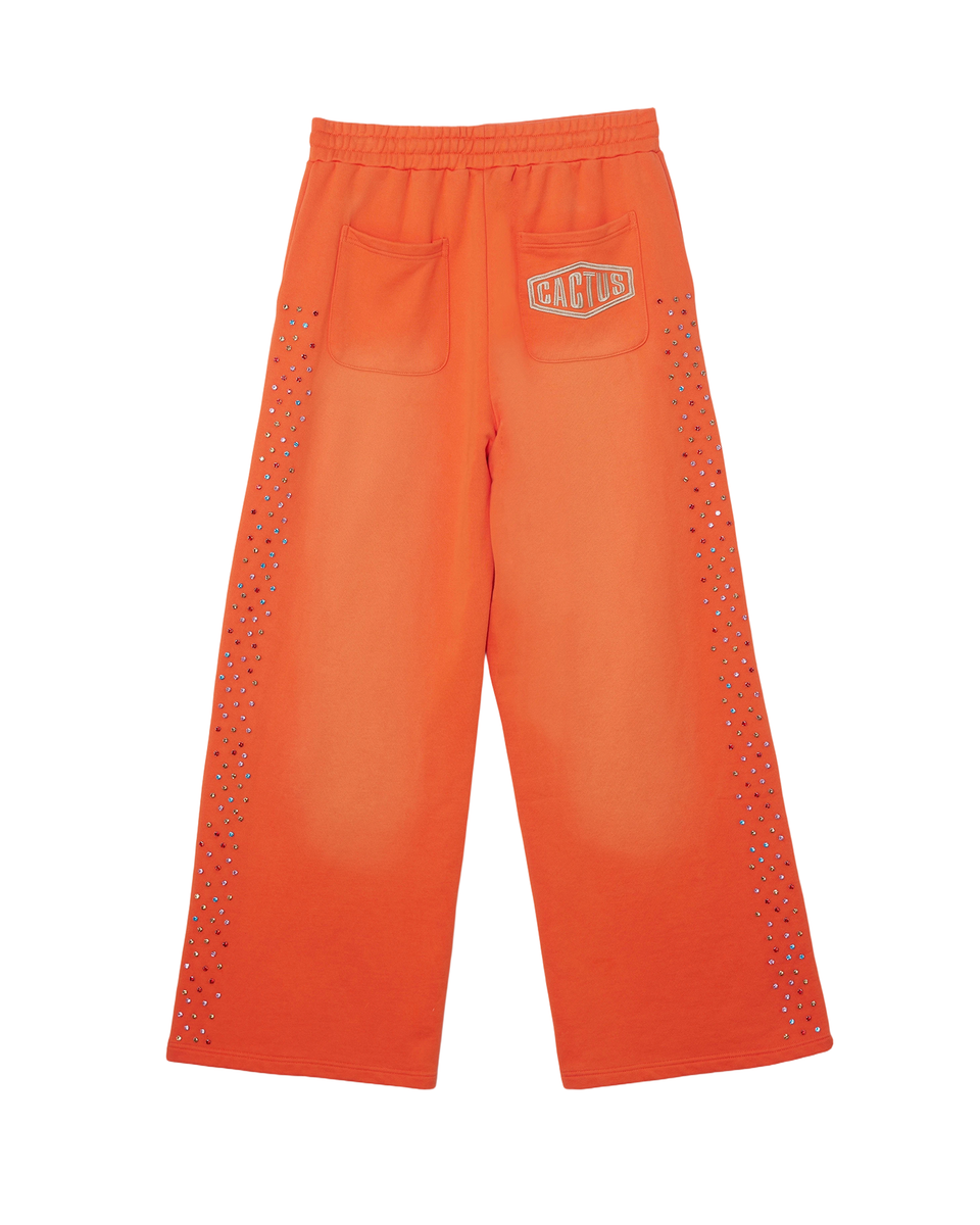 CACTUS VALLEY CRYSTAL CACTUS SWEATPANTS by AZVA