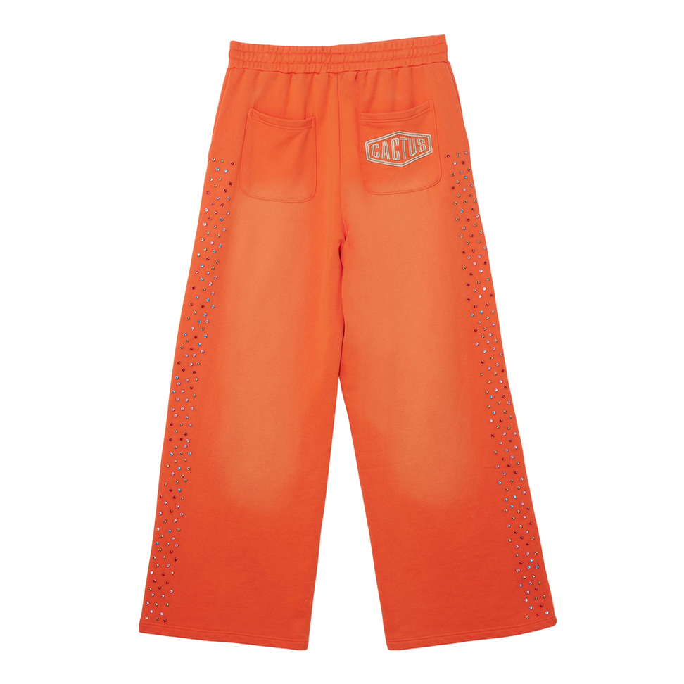 CACTUS VALLEY CRYSTAL CACTUS SWEATPANTS by AZVA