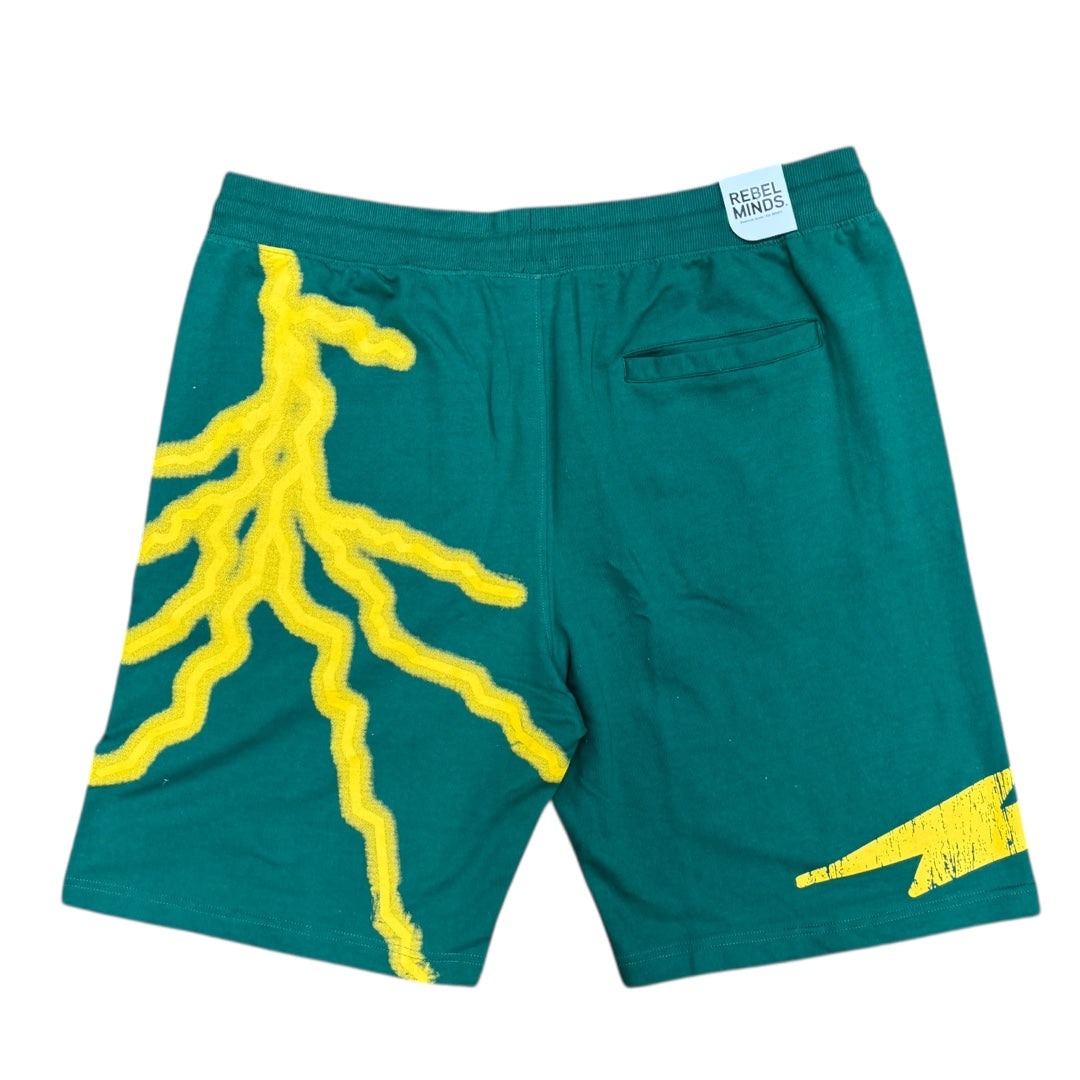 REBEL MINDS FRENCH TERRY SHORTS-GREEN