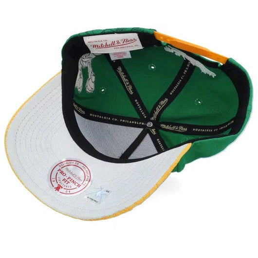 MITCHELL AND NESS NBA MAY FLOWERS PRO HATS by Mitchell and Ness