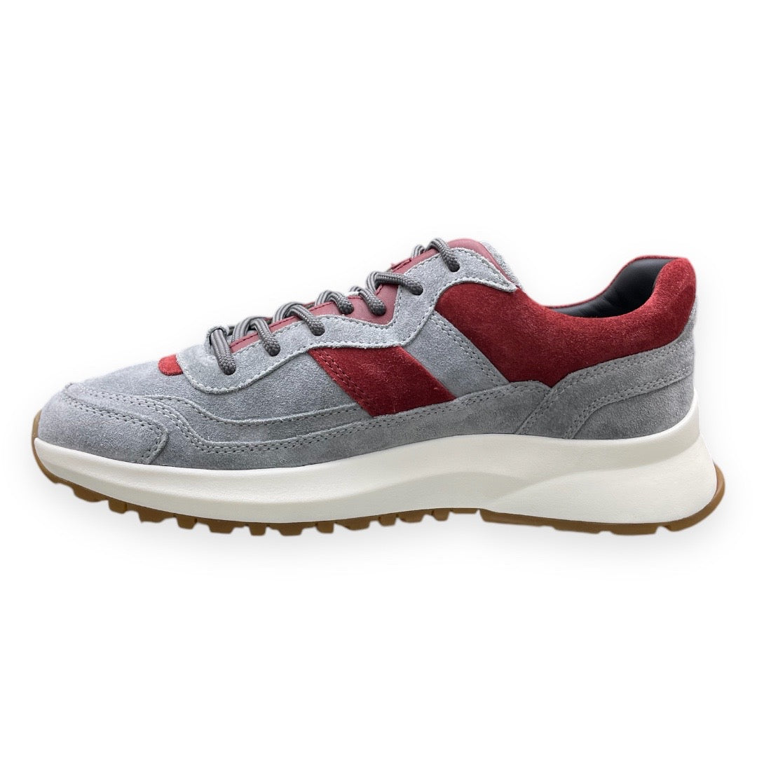 BALLY 6311186-DENNYS-GREY/BURGUNDY by Bally
