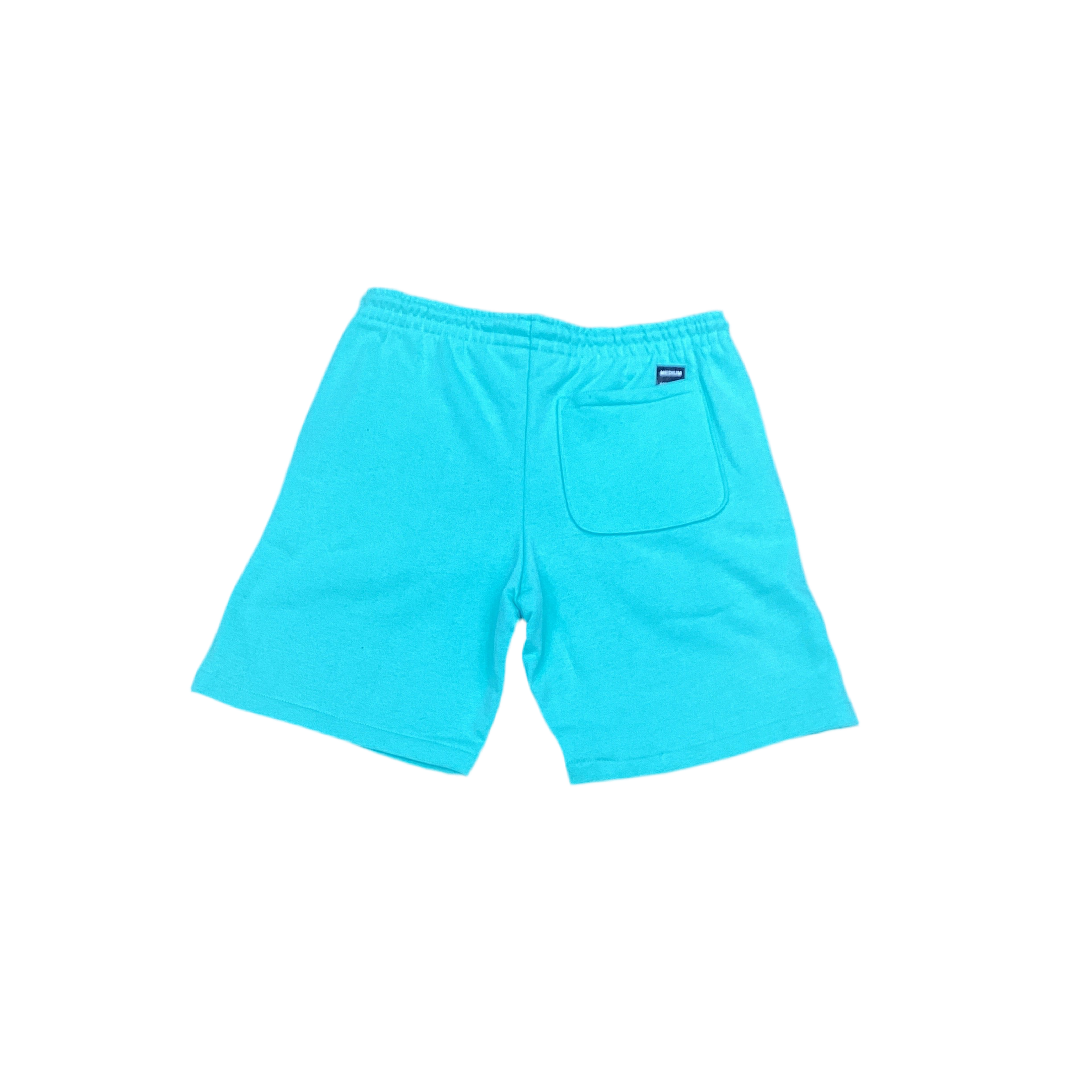 JORDAN CRAIG 9151S-AQUA