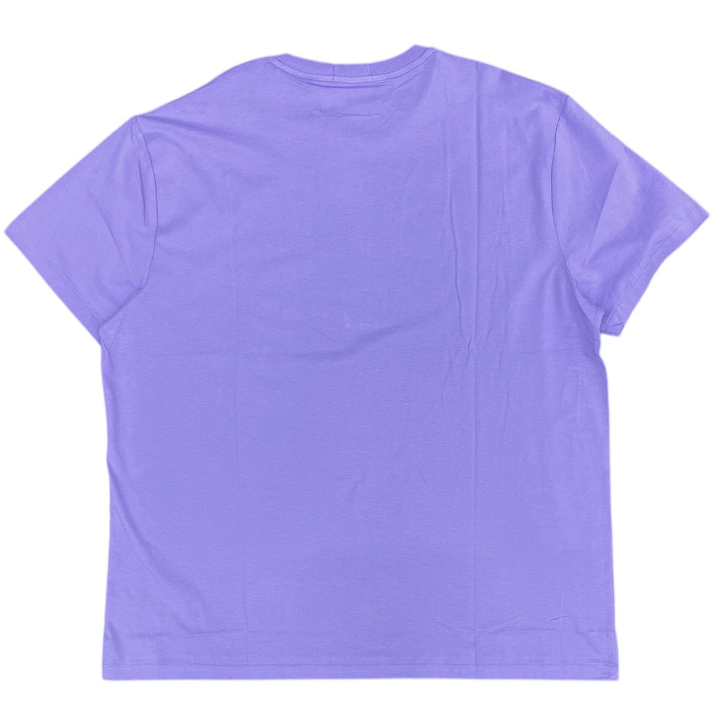 POLO RALPH LAUREN 711952037008-LAVENDER
