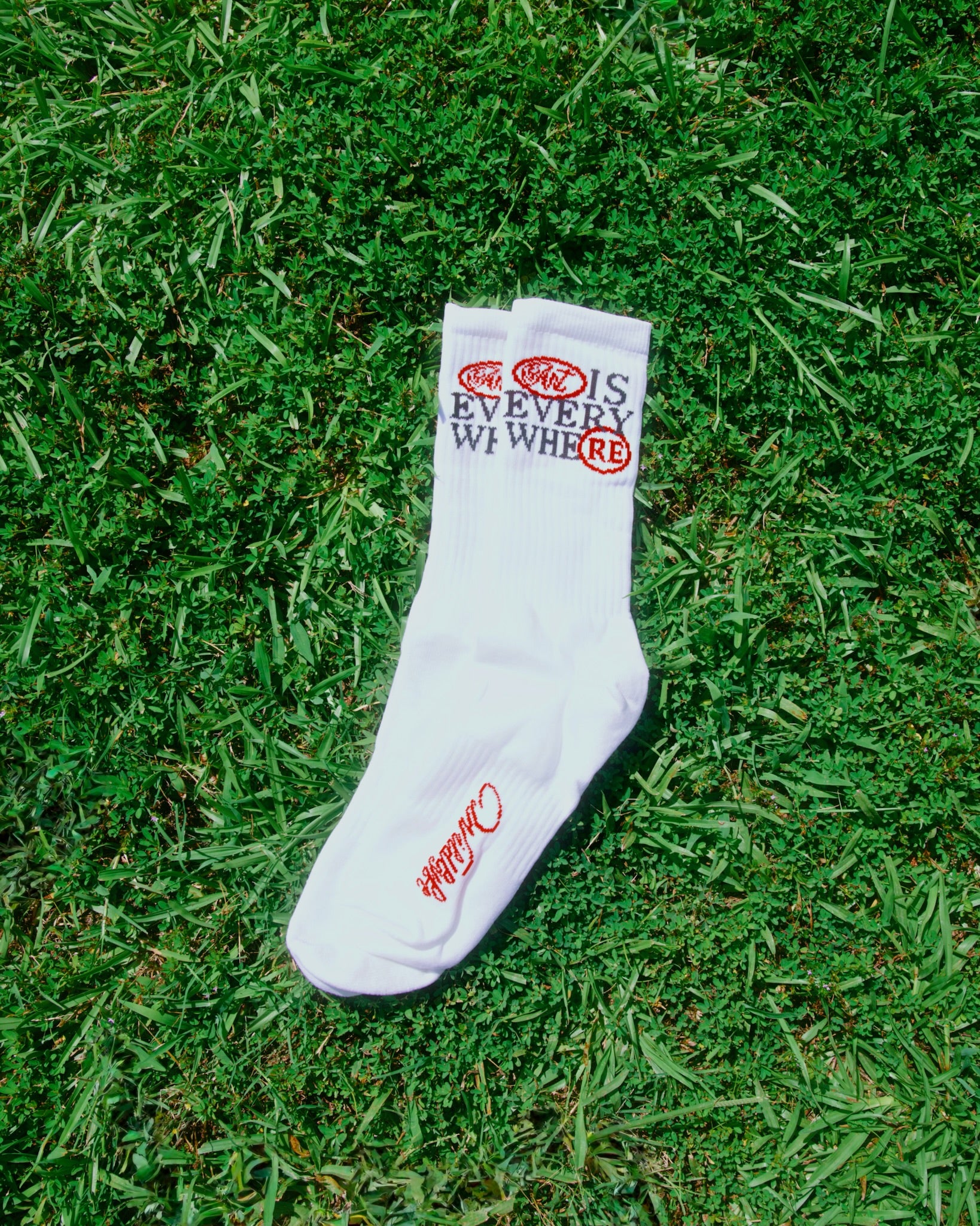 WILDLYFE ART IS EVERYWHERE SOCKS by WILDLYFE