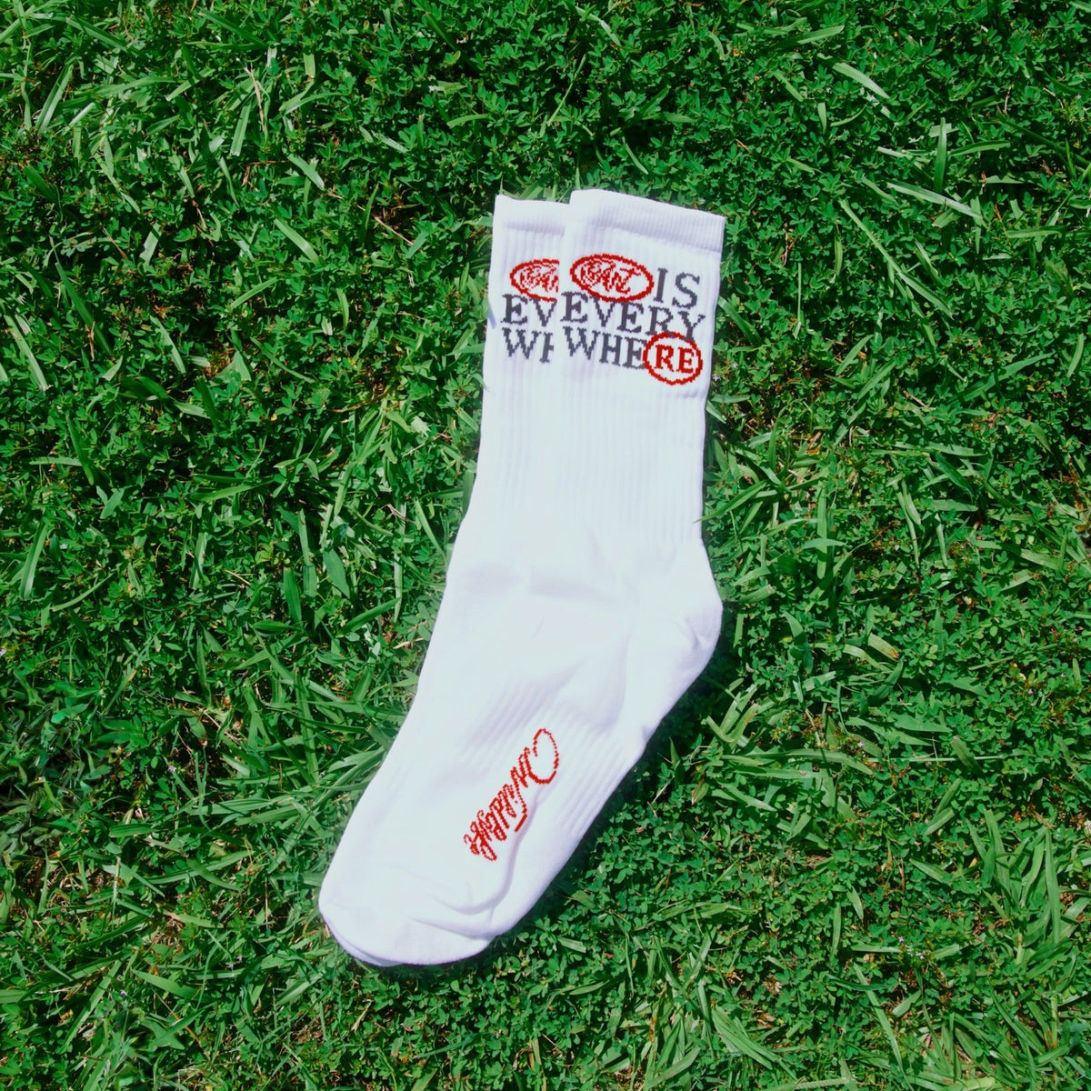 WILDLYFE ART IS EVERYWHERE SOCKS by WILDLYFE