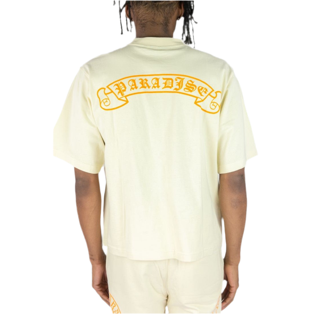 REBEL MINDS 151-184-CREAM by Rebel Minds
