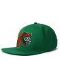 PRO STANDARD FAMU-GREEN by Pro Standard