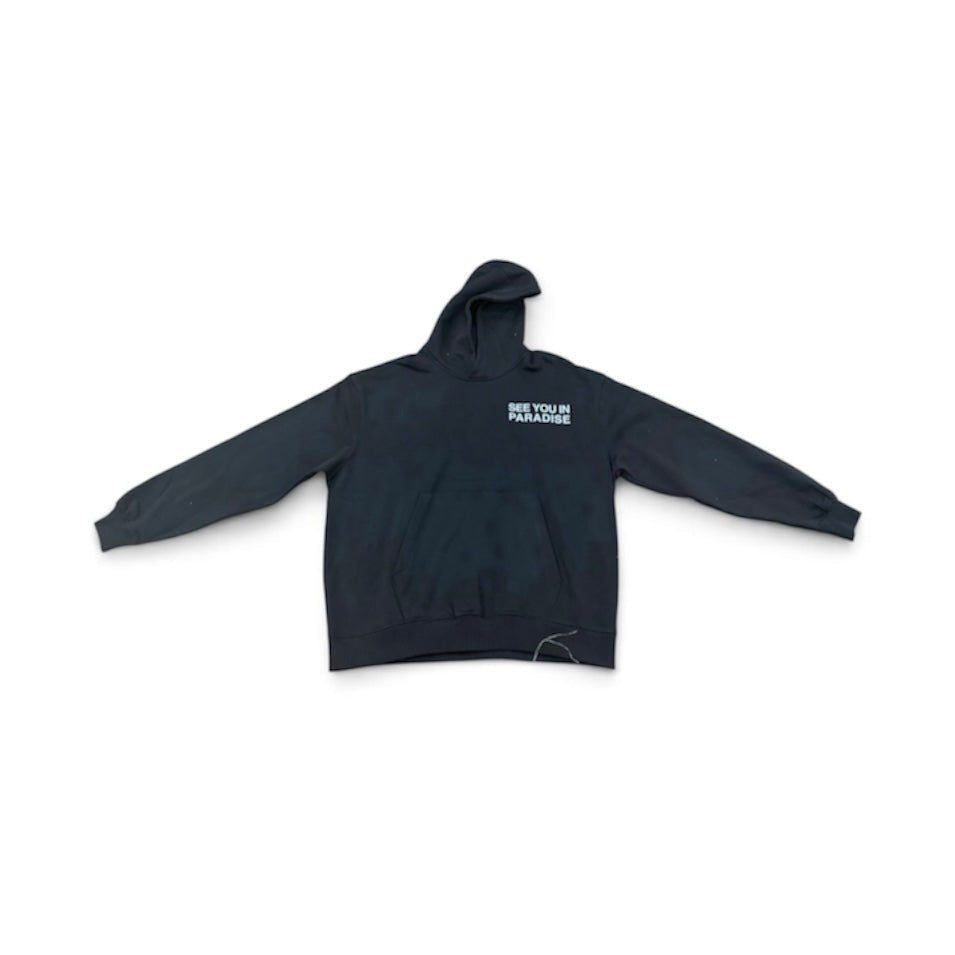 SEE YOU IN PARADISE WINGSPAN HOODIE by Jordan Craig
