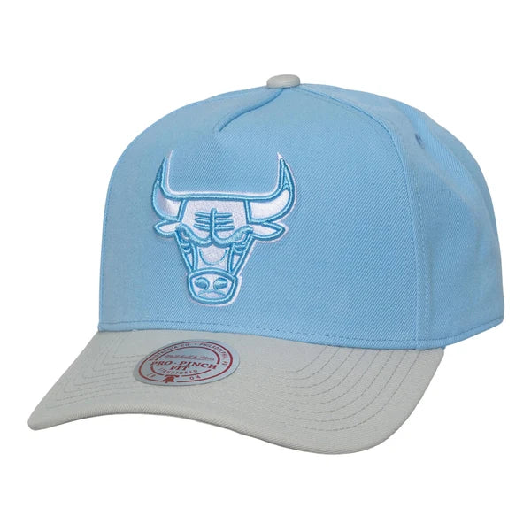 MITCHELL AND NESS NBA BLUE GLEAM PRO HATS by Mitchell and Ness