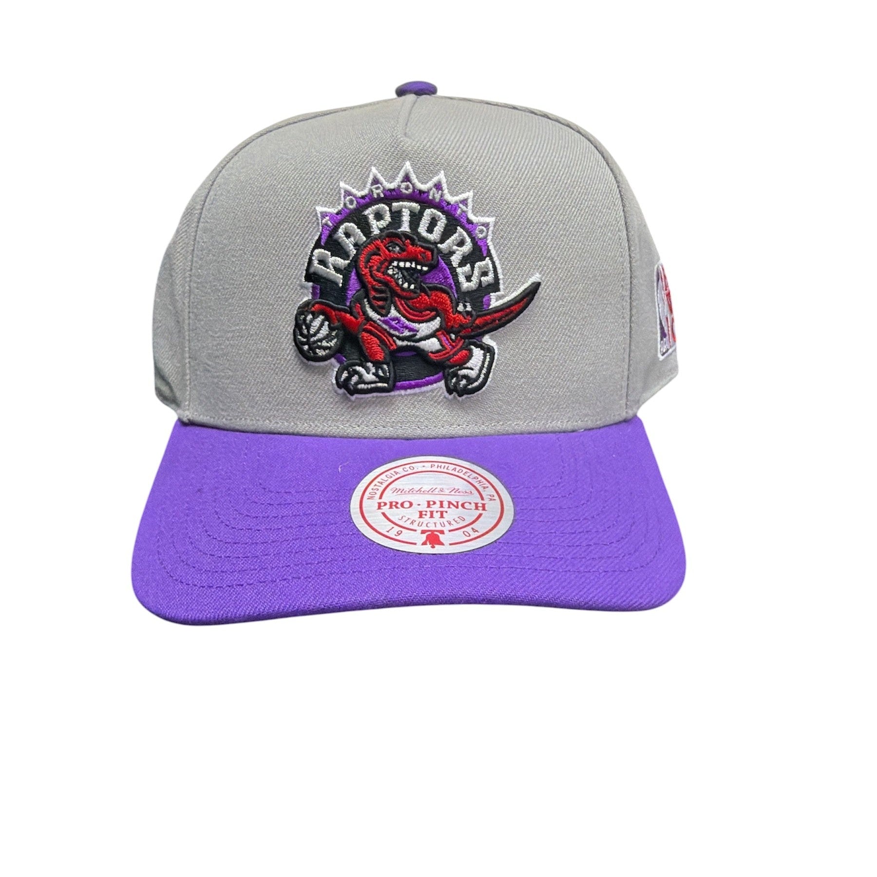 MITCHELL AND NESS NBA RAPTORS HATS