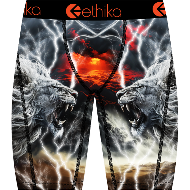ETHIKA LION STRIKE-ASST by Ethika