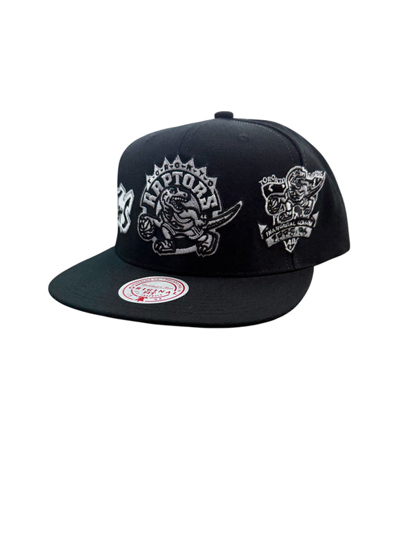 MITCHELL AND NESS NBA RAPTORS HAT