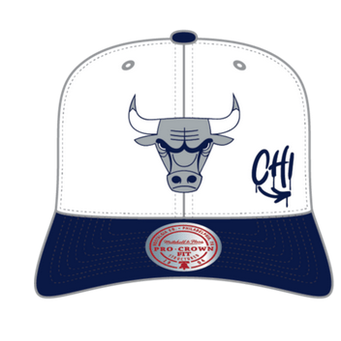 MITCHELL AND NESS SH24324-BULLS