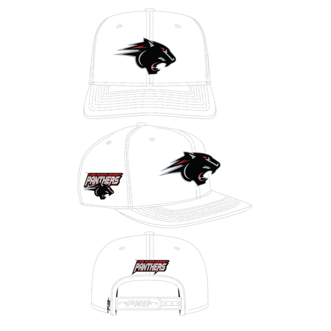 PRO STANDARD WOOL CLARK UNIVERSITY SNAPBACK