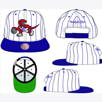 MITCHELL AND NESS PINSTRIPE RAPTORS by Mitchell and Ness