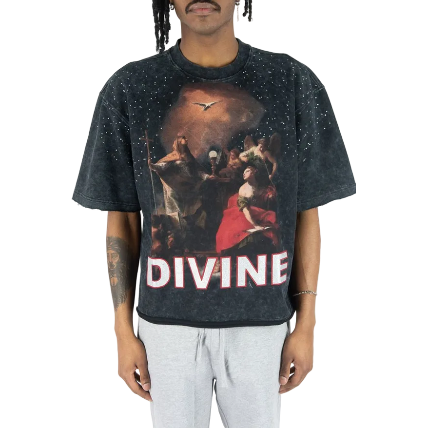 REBEL MINDS DIVINE RHINESTONE CROPPED TEE