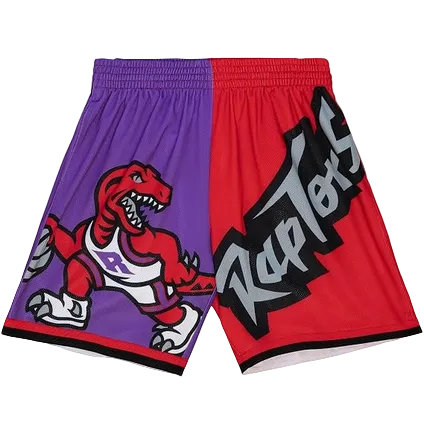 MITCHELL & NESS NBA Big FACE Fashion Shorts 5.0 Toronto Raptors by Mitchell and Ness