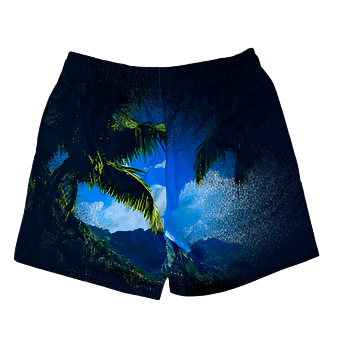 DRY ROT FAIRY TALE MESH SHORTS-BLUE by Dry Rot
