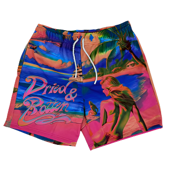 DRY ROT FAIRY TALE MESH SHORTS-PINK by Dry Rot