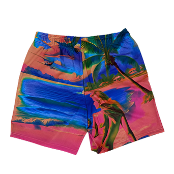 DRY ROT FAIRY TALE MESH SHORTS-PINK