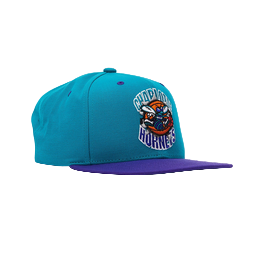Mitchell & Ness Charlotte Hornets NBA Snapback Hat by Mitchell and Ness