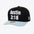 MITCHELL AND NESS WWE STATEMENT PRO HATS by Mitchell and Ness