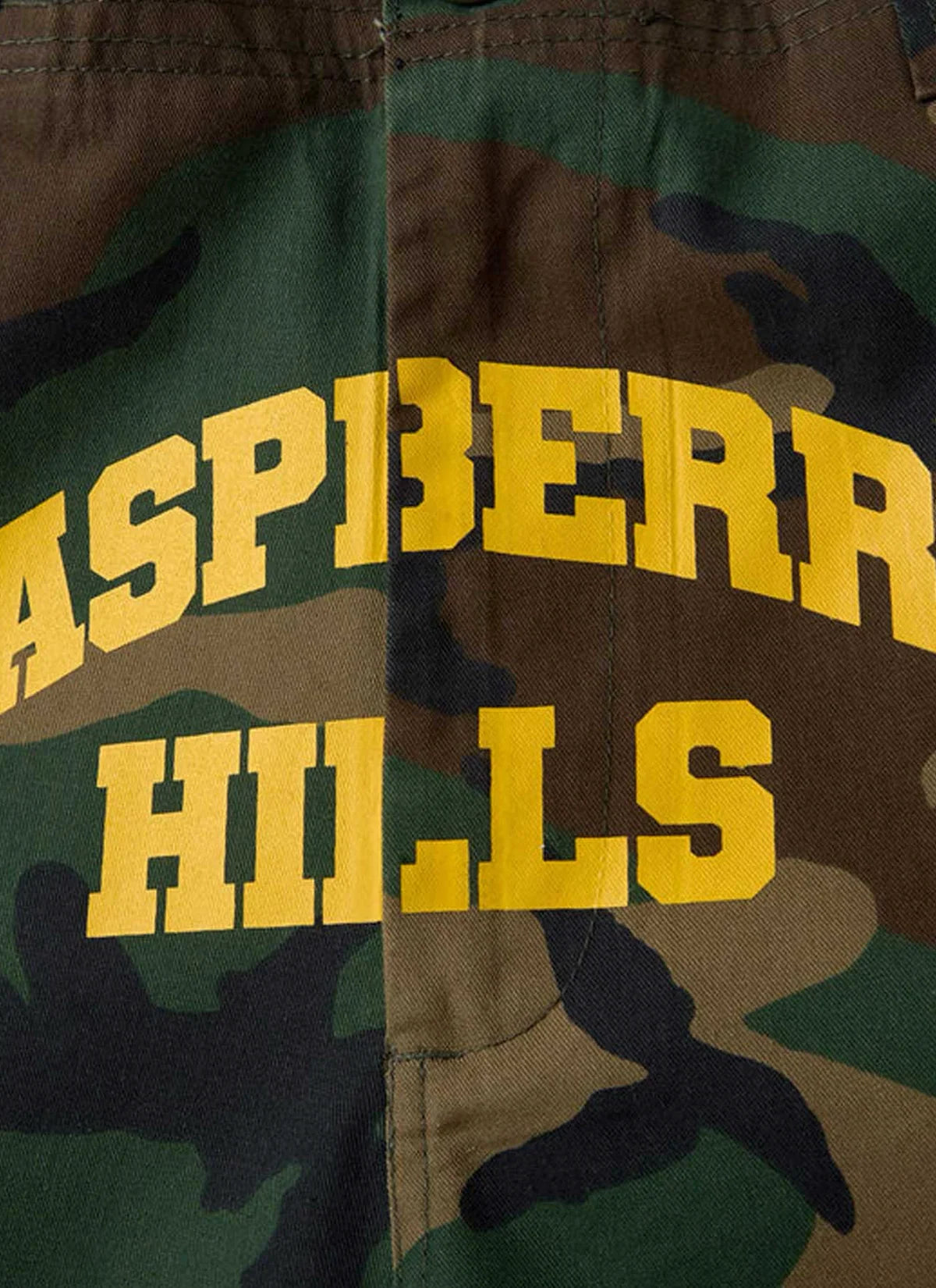 GV GALLERY RASBERRY HILLS CAMO SHORTS by GV Gallery