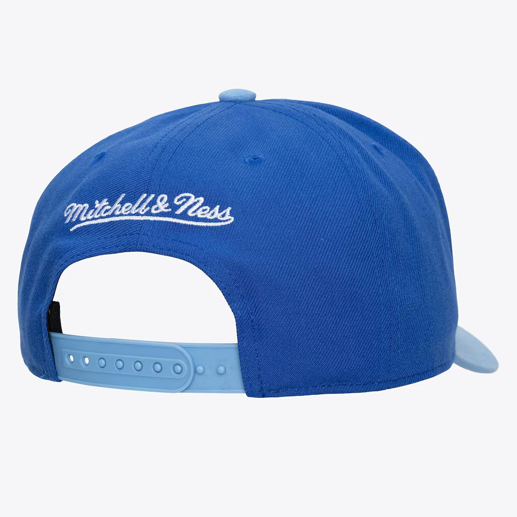 MITCHELL AND NESS NBA LEGENDARY HOME PRO HATS by Mitchell and Ness