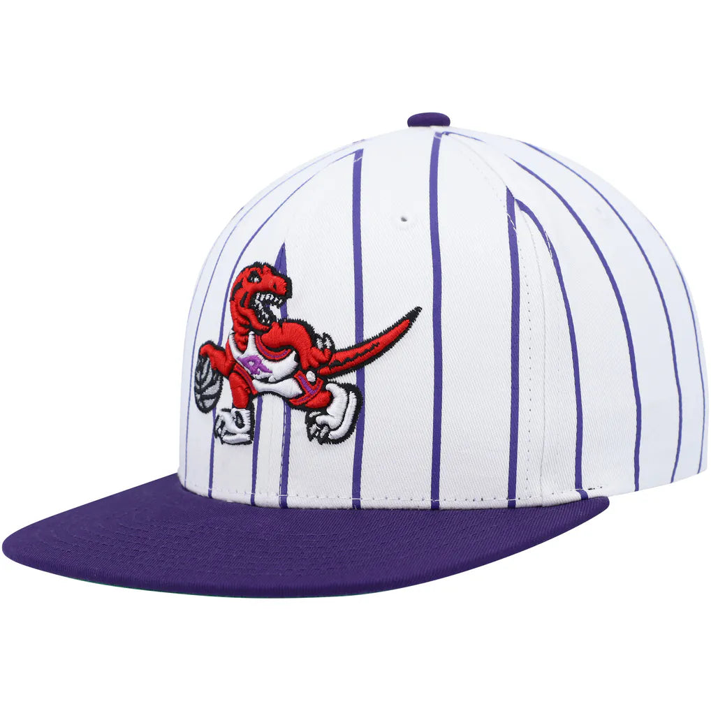 MITCHELL AND NESS PINSTRIPE RAPTORS by Mitchell and Ness
