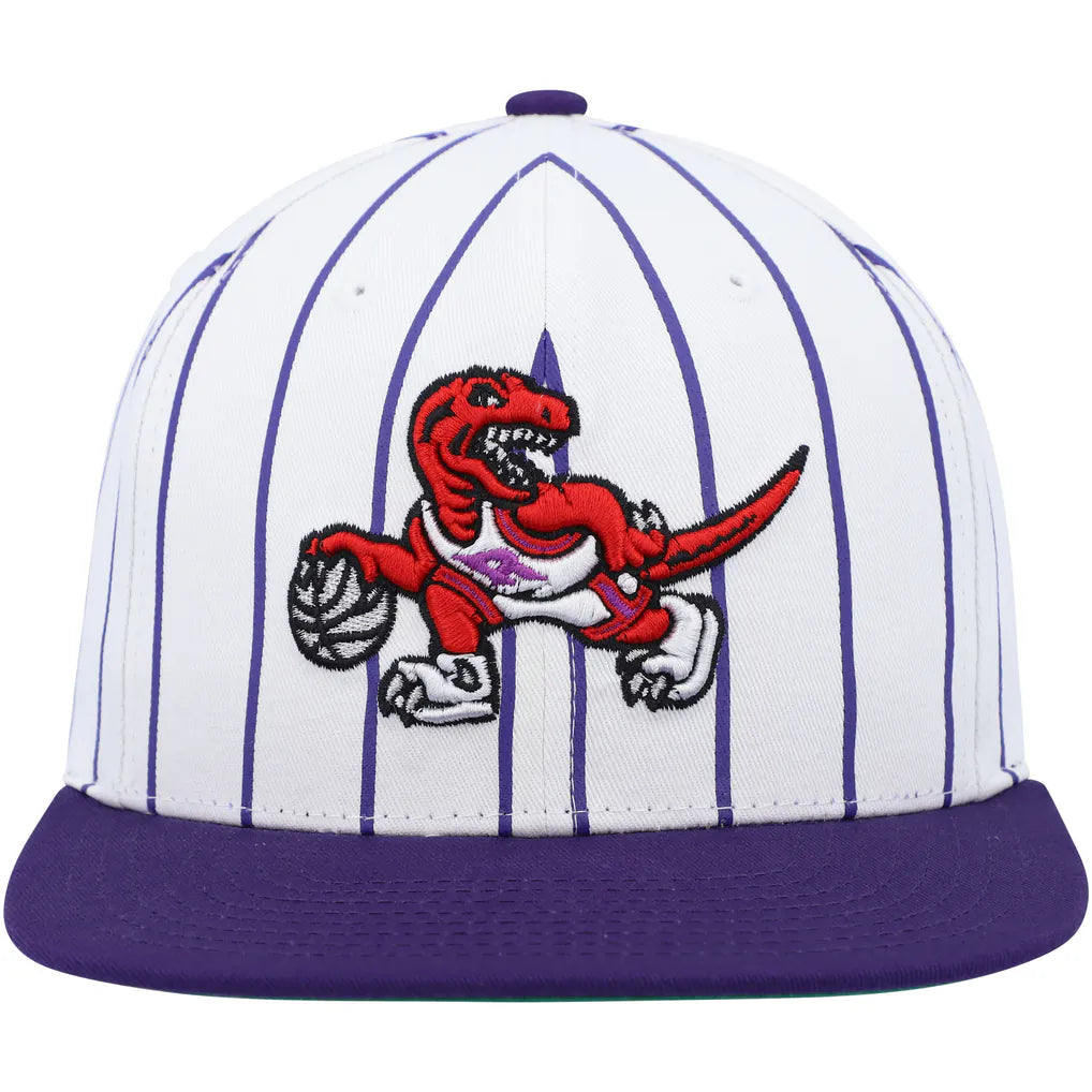 MITCHELL AND NESS PINSTRIPE RAPTORS by Mitchell and Ness