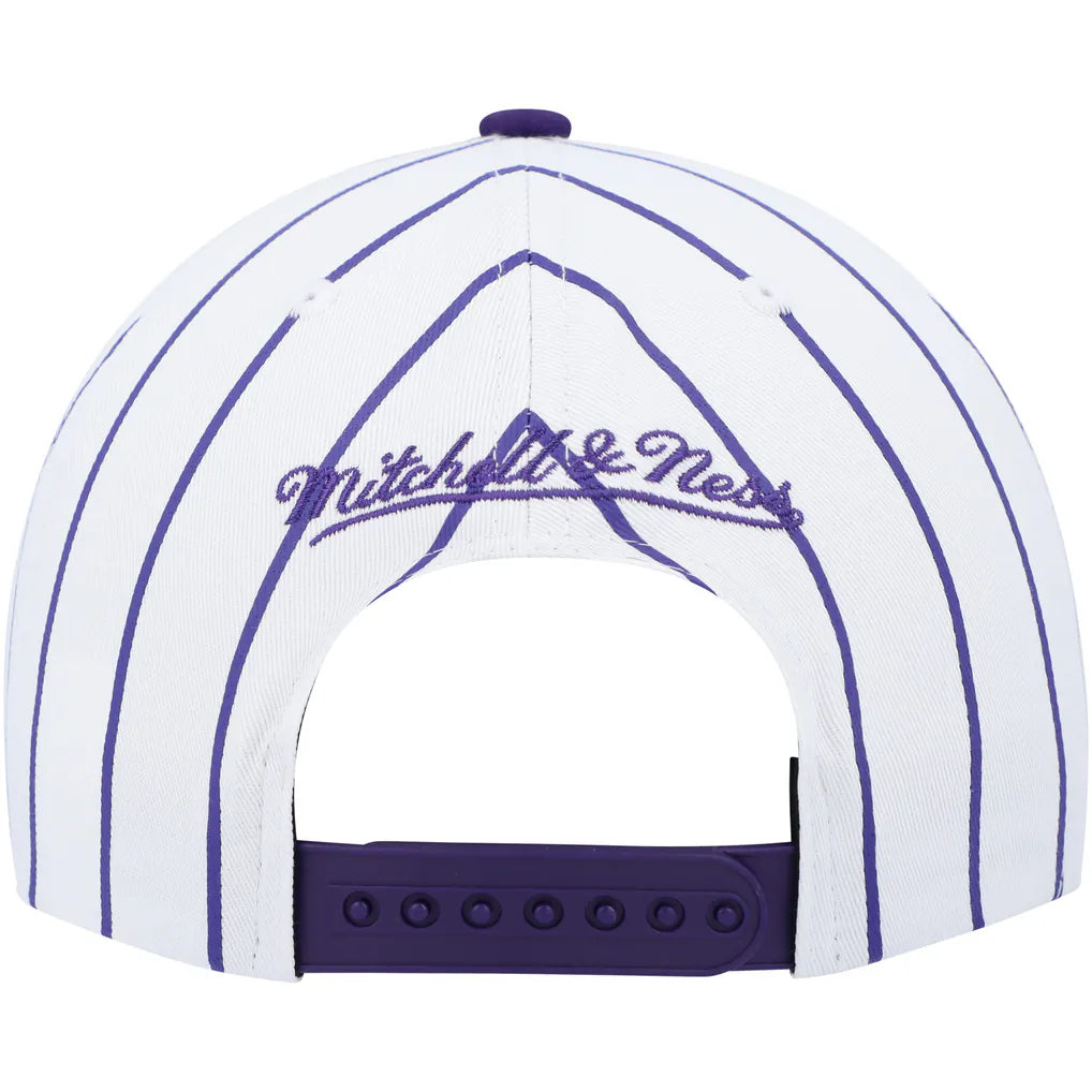 MITCHELL AND NESS PINSTRIPE RAPTORS by Mitchell and Ness
