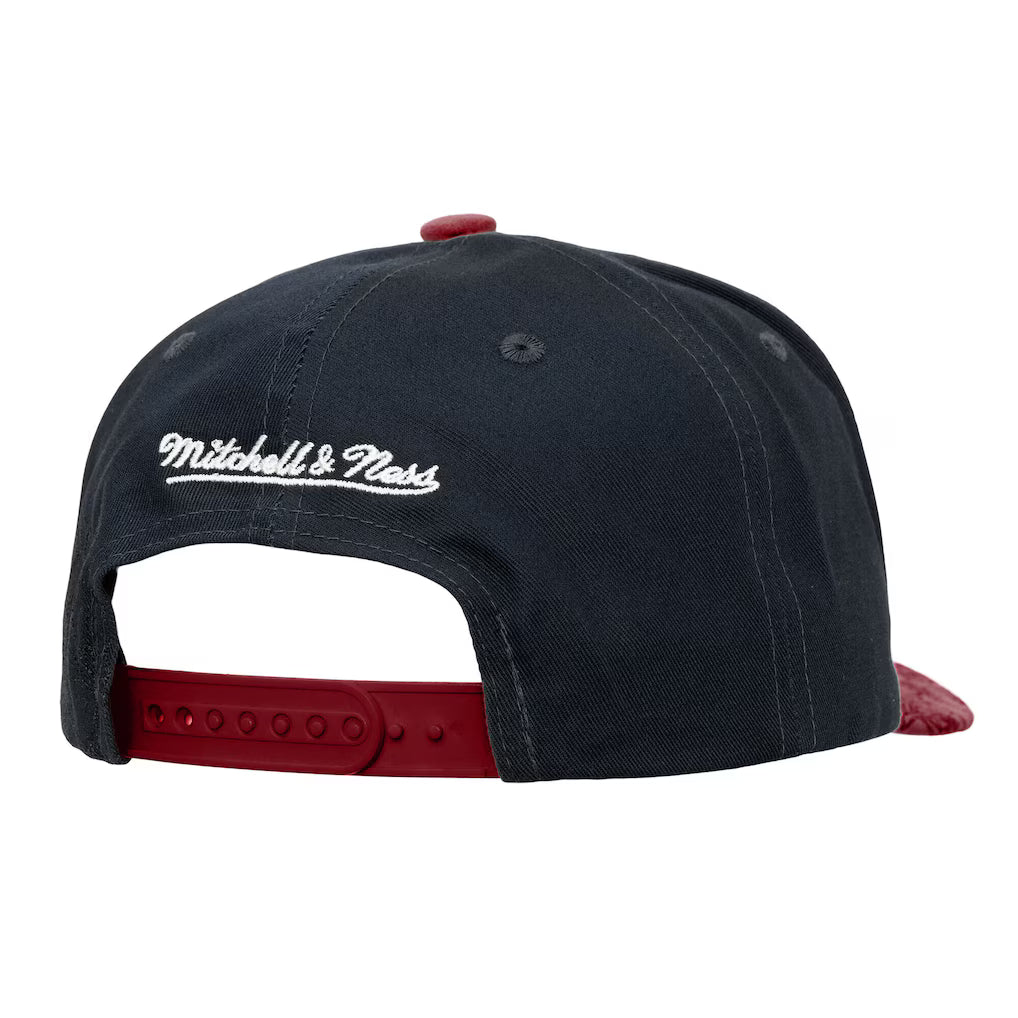 MITCHELL AND NESS NBA MAY FLOWERS PRO HATS by Mitchell and Ness