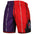 MITCHELL AND NESS 1998 NBA RAPTORS SPLIT SWINGMAN SHORTS by Mitchell and Ness