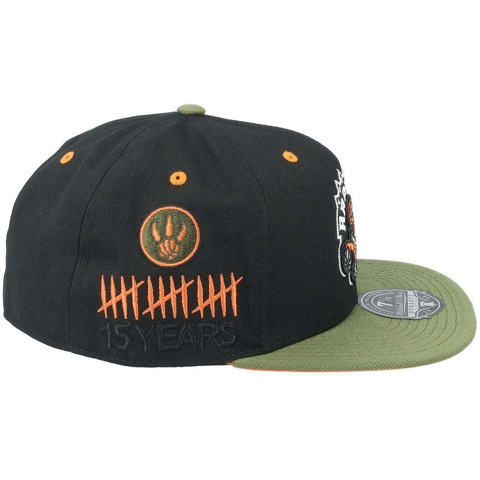 MITCHELL AND NESS NBA TAKE FLIGHT FITTED RAPTORS by Mitchell and Ness