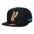 MITCHELL AND NESS NBA LEGENDARY HOME PRO HATS by Mitchell and Ness