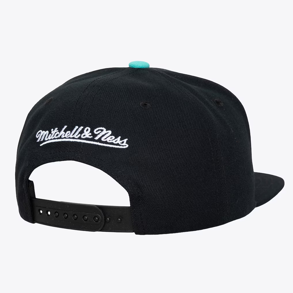 MITCHELL AND NESS NBA LEGENDARY HOME PRO HATS by Mitchell and Ness