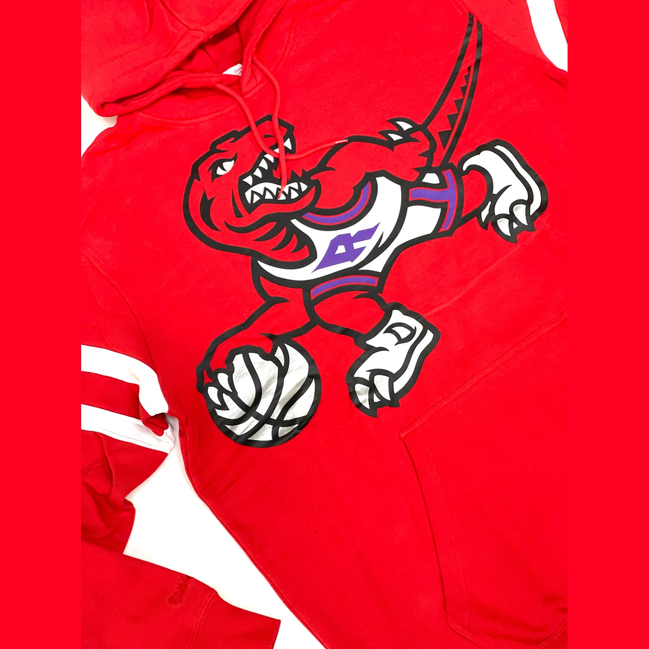 MITCHELL AND NESS 19165-RAPTORS
